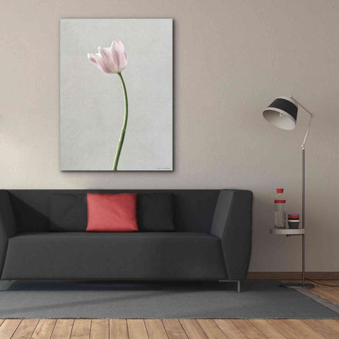 Image of 'Light Tulips I' by Debra Van Swearingen, Canvas Wall Art,40 x 54