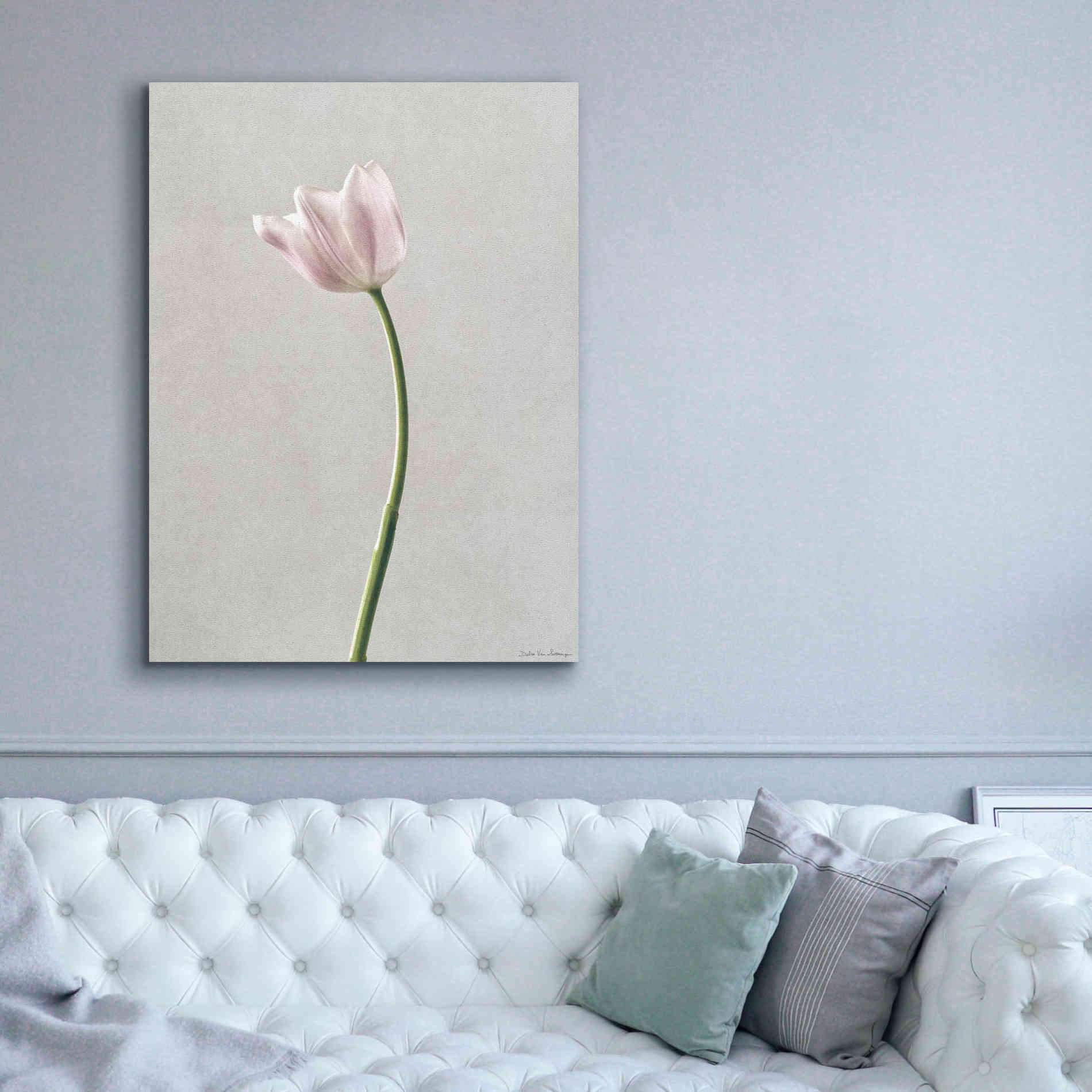 'Light Tulips I' by Debra Van Swearingen, Canvas Wall Art,40 x 54