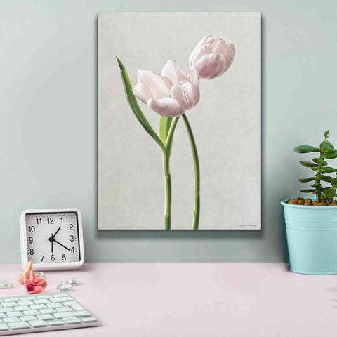 Image of 'Light Tulips III' by Debra Van Swearingen, Canvas Wall Art,12 x 16
