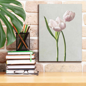 'Light Tulips III' by Debra Van Swearingen, Canvas Wall Art,12 x 16