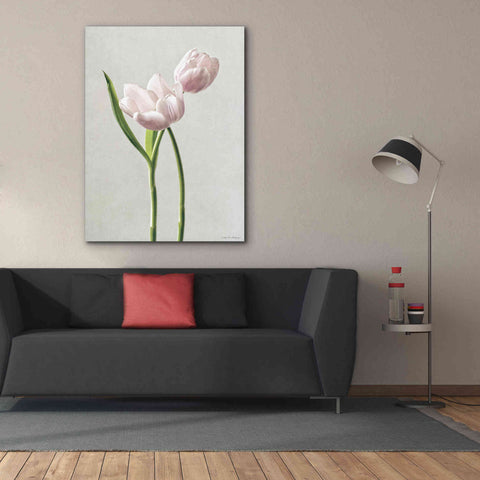 Image of 'Light Tulips III' by Debra Van Swearingen, Canvas Wall Art,40 x 54