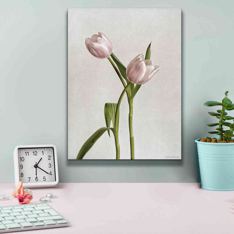 Image of 'Light Tulips IV' by Debra Van Swearingen, Canvas Wall Art,12 x 16
