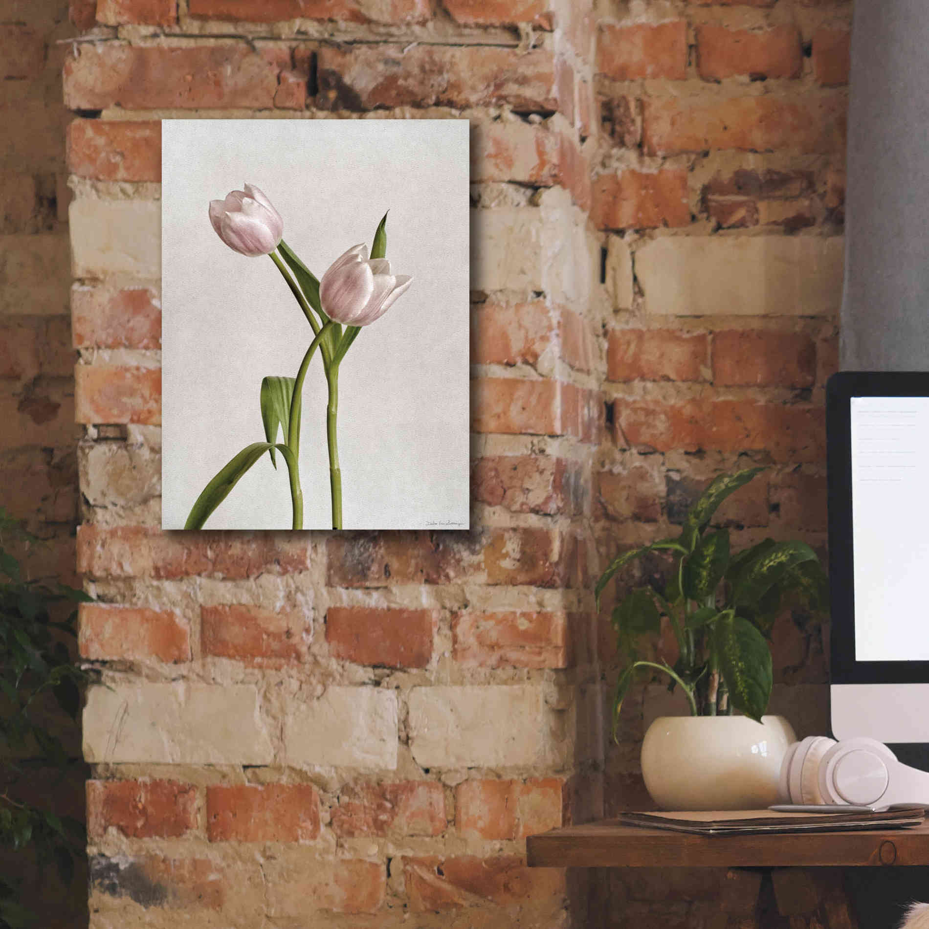 'Light Tulips IV' by Debra Van Swearingen, Canvas Wall Art,12 x 16