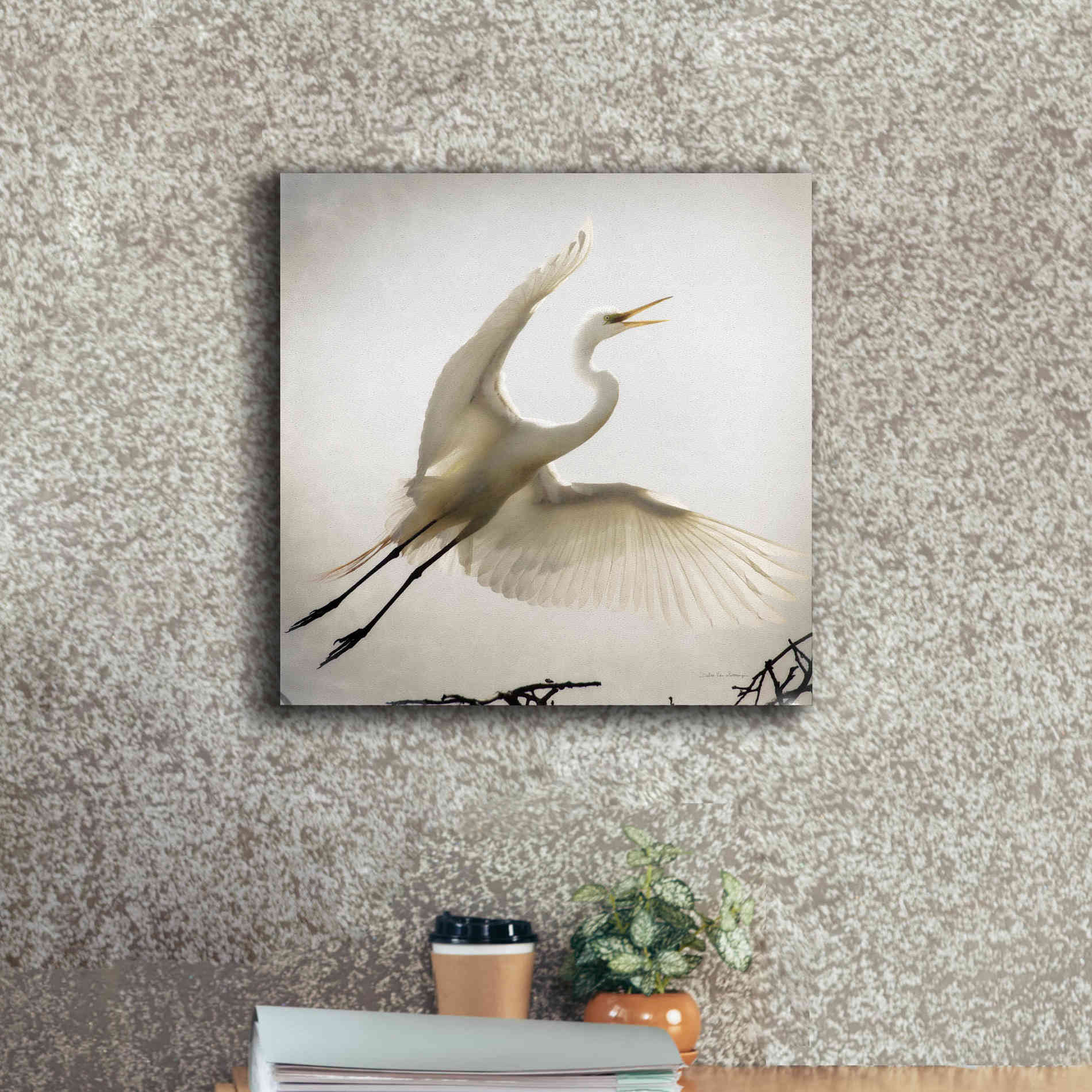 'Emergence' by Debra Van Swearingen, Canvas Wall Art,18 x 18