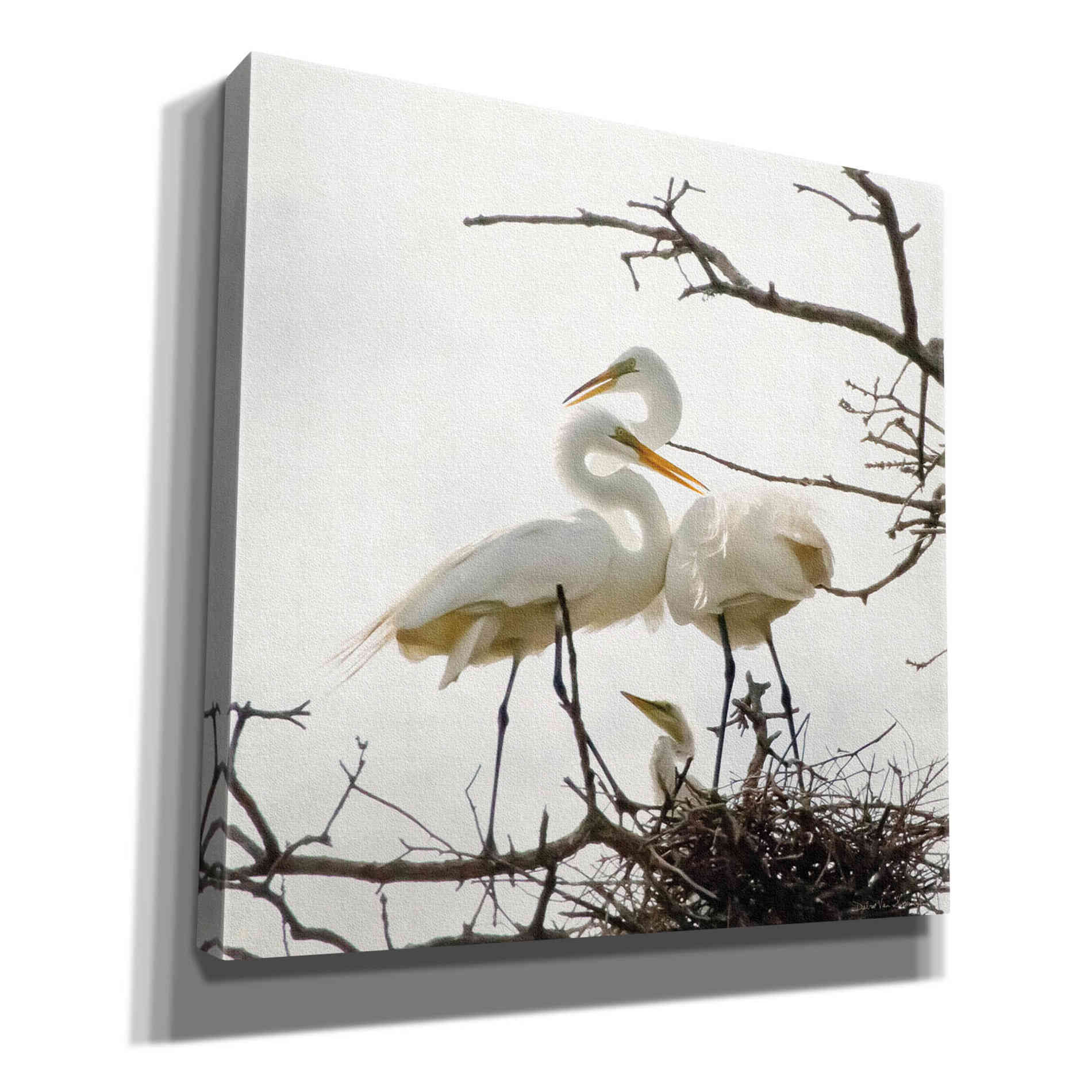 'Devotion' by Debra Van Swearingen, Canvas Wall Art,12x12x1.1x0,18x18x1.1x0,26x26x1.74x0,37x37x1.74x0