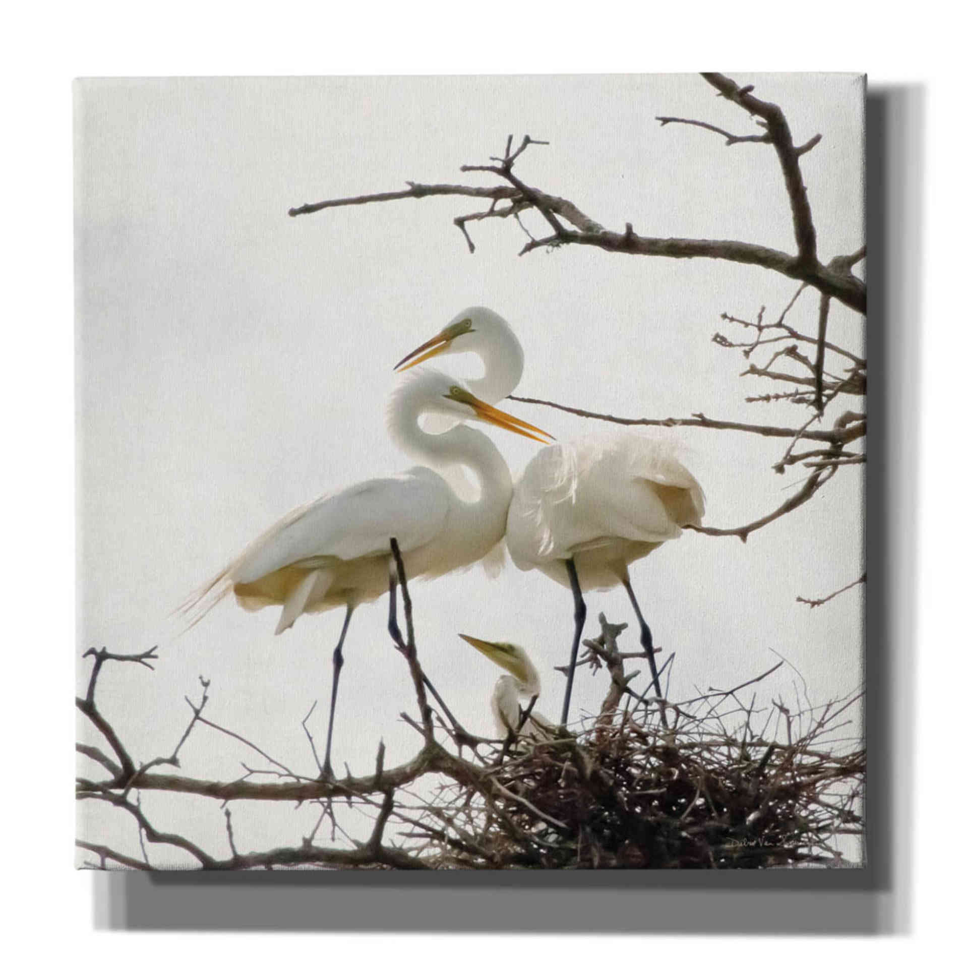 'Devotion' by Debra Van Swearingen, Canvas Wall Art,12x12x1.1x0,18x18x1.1x0,26x26x1.74x0,37x37x1.74x0