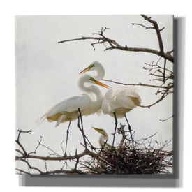 'Devotion' by Debra Van Swearingen, Canvas Wall Art,12x12x1.1x0,18x18x1.1x0,26x26x1.74x0,37x37x1.74x0