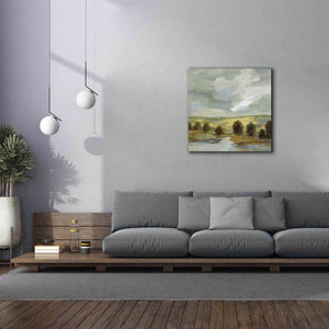 'Country Landscape' by Silvia Vassileva, Canvas Wall Art,37 x 37