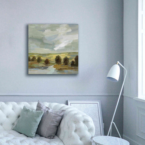 Image of 'Country Landscape' by Silvia Vassileva, Canvas Wall Art,37 x 37