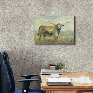 'Colorful Longhorn Cow' by Silvia Vassileva, Canvas Wall Art,24 x 20
