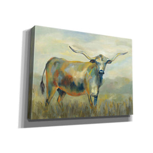 'Colorful Longhorn Cow' by Silvia Vassileva, Canvas Wall Art,16x12x1.1x0,24x20x1.1x0,30x26x1.74x0,54x40x1.74x0