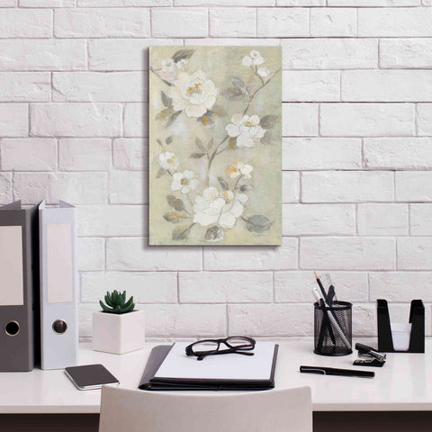Image of 'Romantic Spring Flowers I White' by Silvia Vassileva, Canvas Wall Art,12 x 18