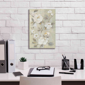 'Romantic Spring Flowers I White' by Silvia Vassileva, Canvas Wall Art,12 x 18