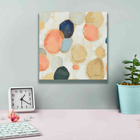 Image of 'Painted Pebbles II Boho' by Silvia Vassileva, Canvas Wall Art,12 x 12