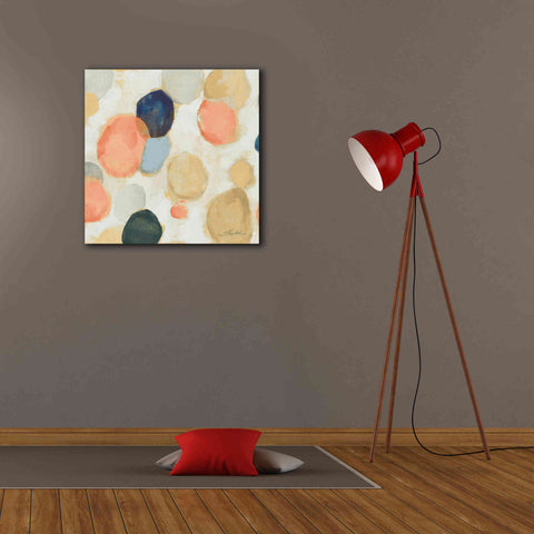 Image of 'Painted Pebbles II Boho' by Silvia Vassileva, Canvas Wall Art,26 x 26