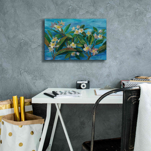 Image of 'Oceanside Plumeria' by Silvia Vassileva, Canvas Wall Art,18 x 12
