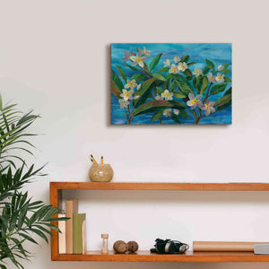 'Oceanside Plumeria' by Silvia Vassileva, Canvas Wall Art,18 x 12