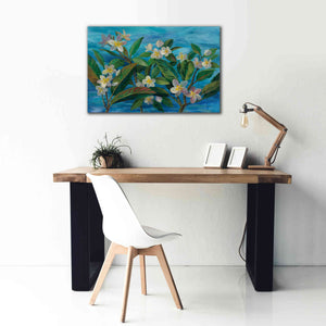 'Oceanside Plumeria' by Silvia Vassileva, Canvas Wall Art,40 x 26