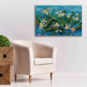 'Oceanside Plumeria' by Silvia Vassileva, Canvas Wall Art,40 x 26