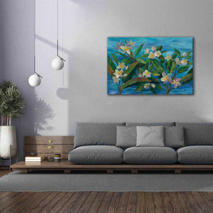 'Oceanside Plumeria' by Silvia Vassileva, Canvas Wall Art,60 x 40