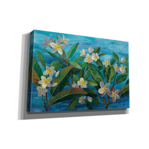 Image of 'Oceanside Plumeria' by Silvia Vassileva, Canvas Wall Art,18x12x1.1x0,26x18x1.1x0,40x26x1.74x0,60x40x1.74x0