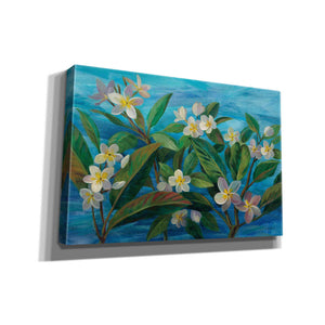 'Oceanside Plumeria' by Silvia Vassileva, Canvas Wall Art,18x12x1.1x0,26x18x1.1x0,40x26x1.74x0,60x40x1.74x0