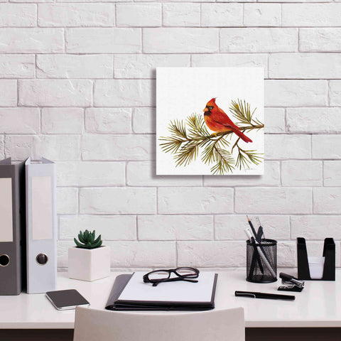 Image of 'Cardinal Christmas V on White' by Silvia Vassileva, Canvas Wall Art,12 x 12