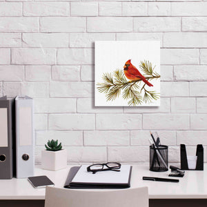 'Cardinal Christmas V on White' by Silvia Vassileva, Canvas Wall Art,12 x 12