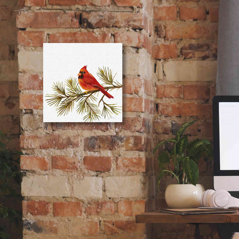 Image of 'Cardinal Christmas V on White' by Silvia Vassileva, Canvas Wall Art,12 x 12