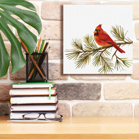 Image of 'Cardinal Christmas V on White' by Silvia Vassileva, Canvas Wall Art,12 x 12