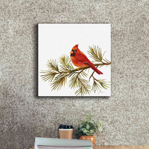Image of 'Cardinal Christmas V on White' by Silvia Vassileva, Canvas Wall Art,18 x 18