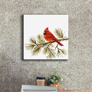 'Cardinal Christmas V on White' by Silvia Vassileva, Canvas Wall Art,18 x 18