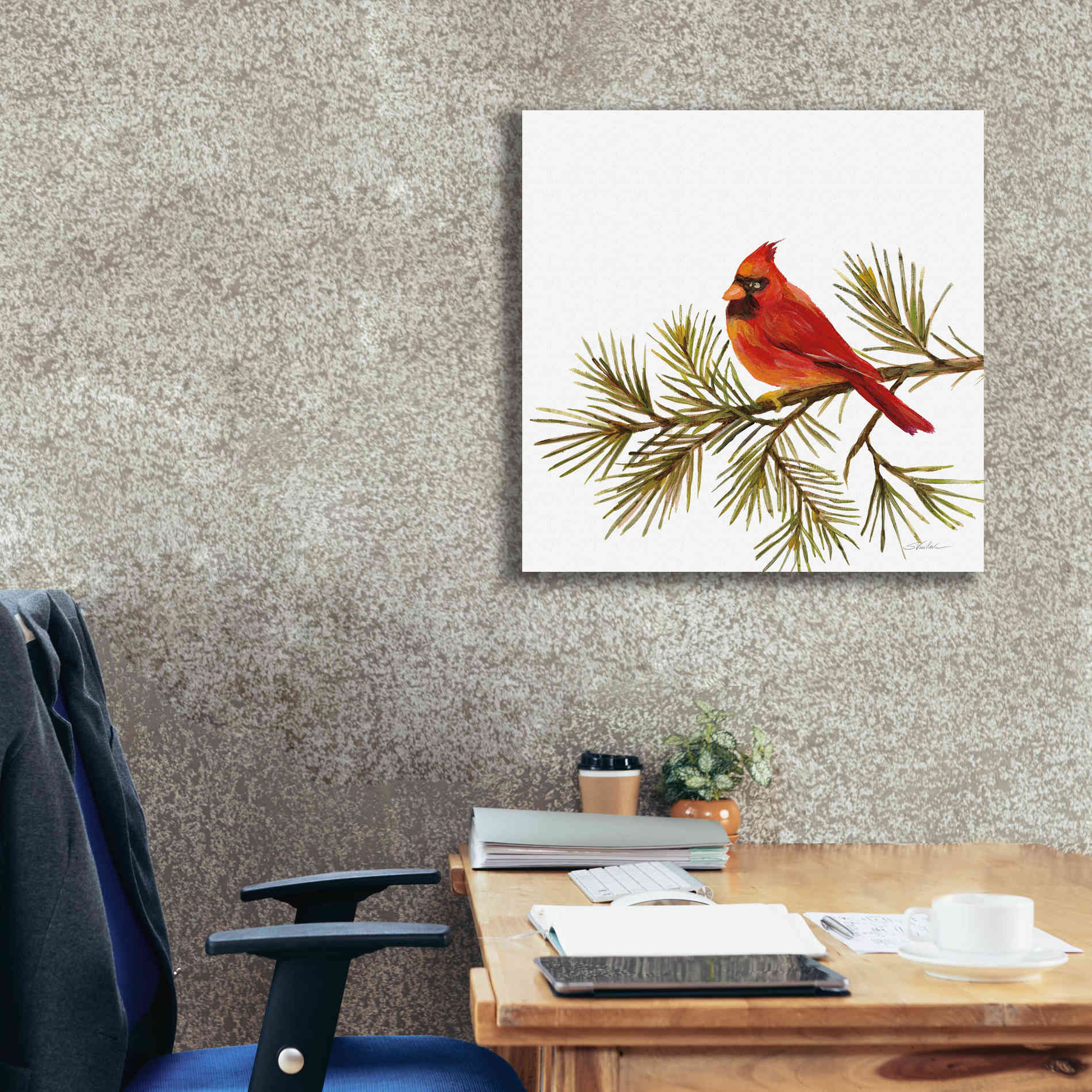 'Cardinal Christmas V on White' by Silvia Vassileva, Canvas Wall Art,26 x 26