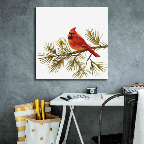 Image of 'Cardinal Christmas V on White' by Silvia Vassileva, Canvas Wall Art,26 x 26