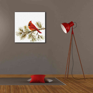 'Cardinal Christmas V on White' by Silvia Vassileva, Canvas Wall Art,26 x 26