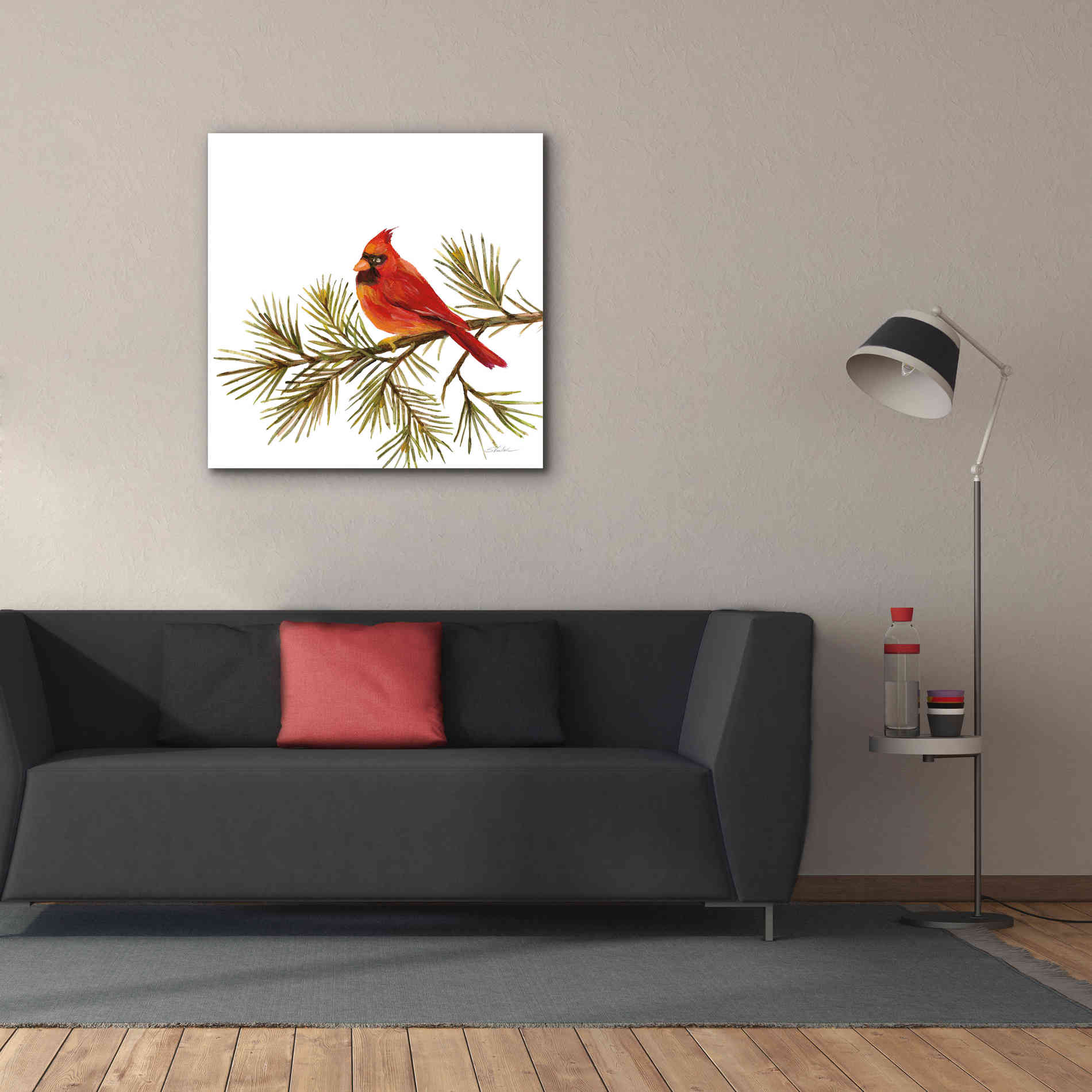 'Cardinal Christmas V on White' by Silvia Vassileva, Canvas Wall Art,37 x 37
