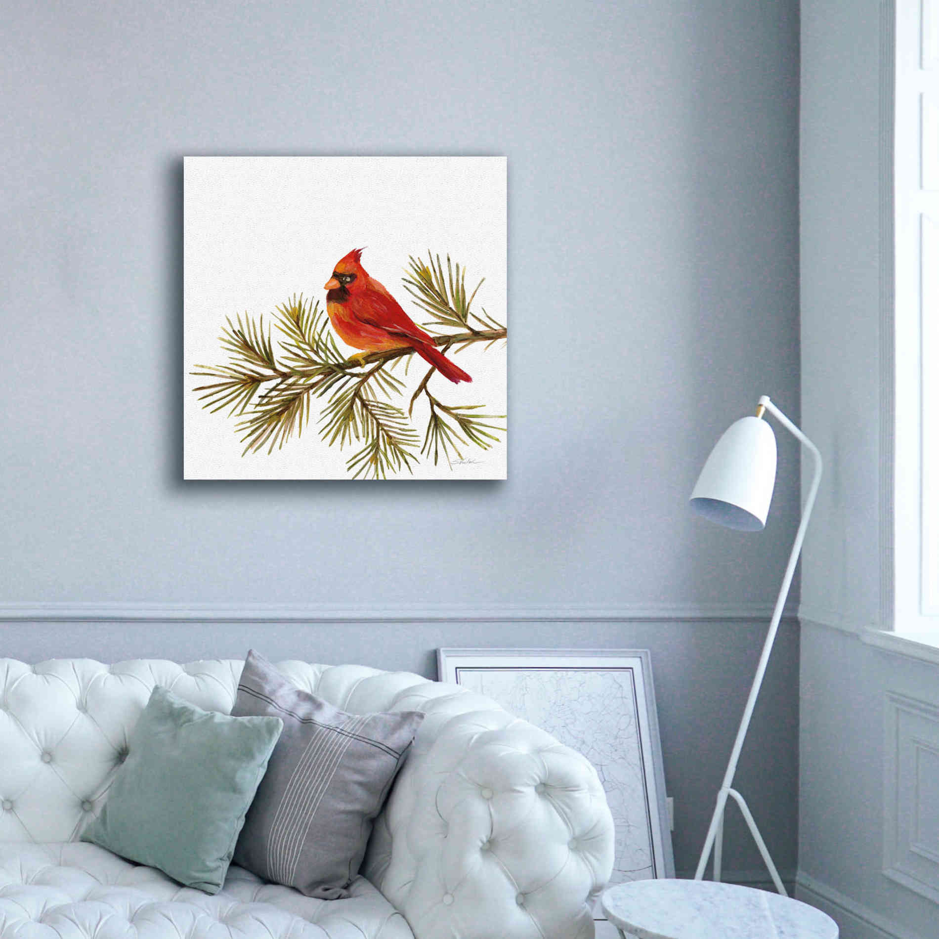 'Cardinal Christmas V on White' by Silvia Vassileva, Canvas Wall Art,37 x 37