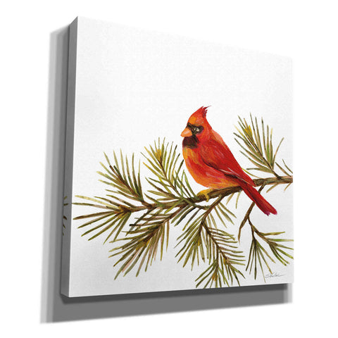 Image of 'Cardinal Christmas V on White' by Silvia Vassileva, Canvas Wall Art,12x12x1.1x0,18x18x1.1x0,26x26x1.74x0,37x37x1.74x0