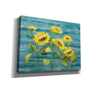 'Cottage Sunflowers Teal' by Silvia Vassileva, Canvas Wall Art,16x12x1.1x0,26x18x1.1x0,34x26x1.74x0,54x40x1.74x0