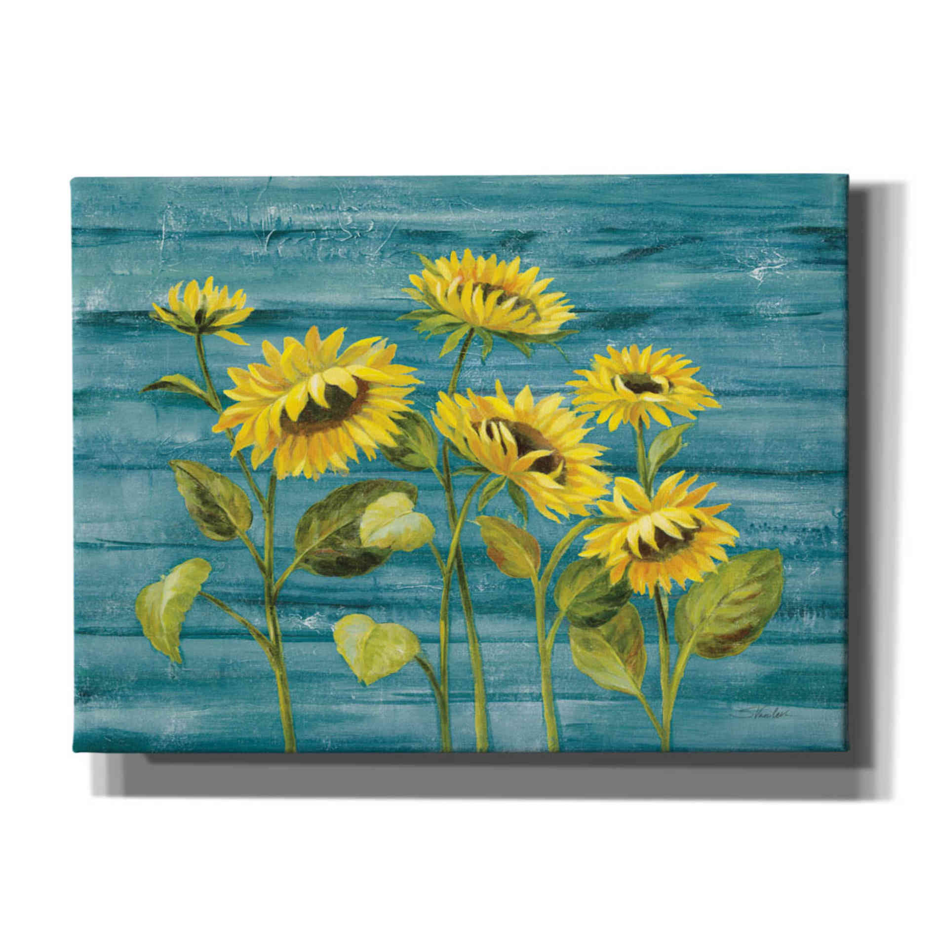 'Cottage Sunflowers Teal' by Silvia Vassileva, Canvas Wall Art,16x12x1.1x0,26x18x1.1x0,34x26x1.74x0,54x40x1.74x0