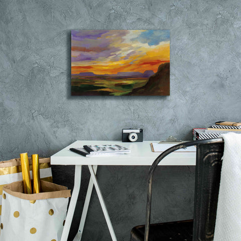 Image of 'Sonoran Desert Sunset' by Silvia Vassileva, Canvas Wall Art,18 x 12