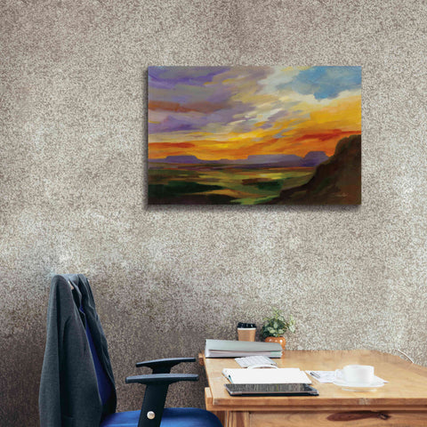 Image of 'Sonoran Desert Sunset' by Silvia Vassileva, Canvas Wall Art,40 x 26