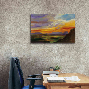 'Sonoran Desert Sunset' by Silvia Vassileva, Canvas Wall Art,40 x 26