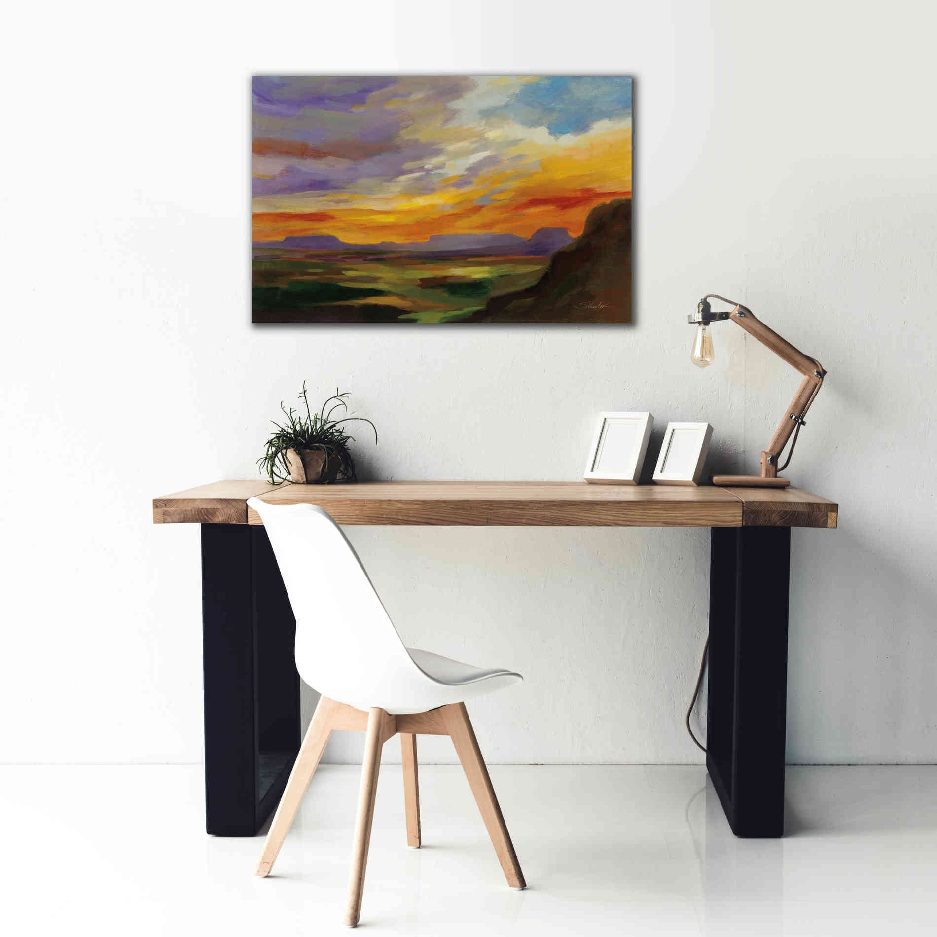 'Sonoran Desert Sunset' by Silvia Vassileva, Canvas Wall Art,40 x 26
