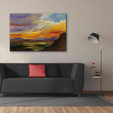 Image of 'Sonoran Desert Sunset' by Silvia Vassileva, Canvas Wall Art,60 x 40
