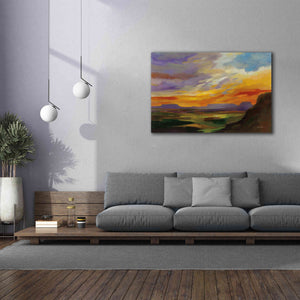 'Sonoran Desert Sunset' by Silvia Vassileva, Canvas Wall Art,60 x 40