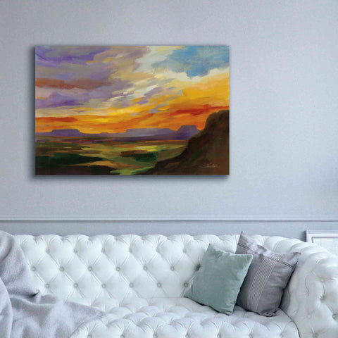 Image of 'Sonoran Desert Sunset' by Silvia Vassileva, Canvas Wall Art,60 x 40
