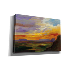 'Sonoran Desert Sunset' by Silvia Vassileva, Canvas Wall Art,18x12x1.1x0,26x18x1.1x0,40x26x1.74x0,60x40x1.74x0