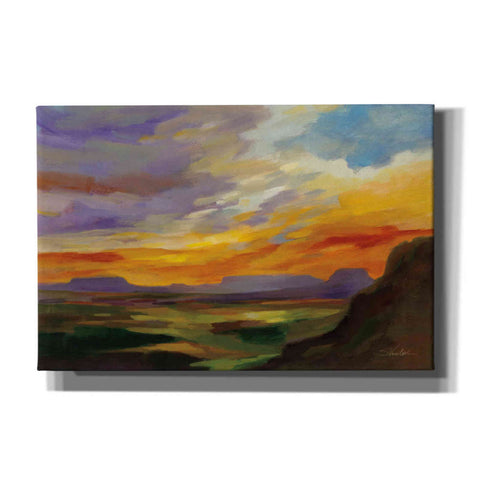 Image of 'Sonoran Desert Sunset' by Silvia Vassileva, Canvas Wall Art,18x12x1.1x0,26x18x1.1x0,40x26x1.74x0,60x40x1.74x0