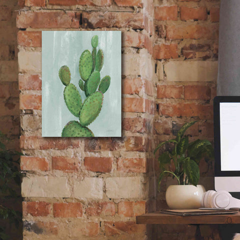 Image of 'Front Yard Cactus I Slate' by Silvia Vassileva, Canvas Wall Art,12 x 16
